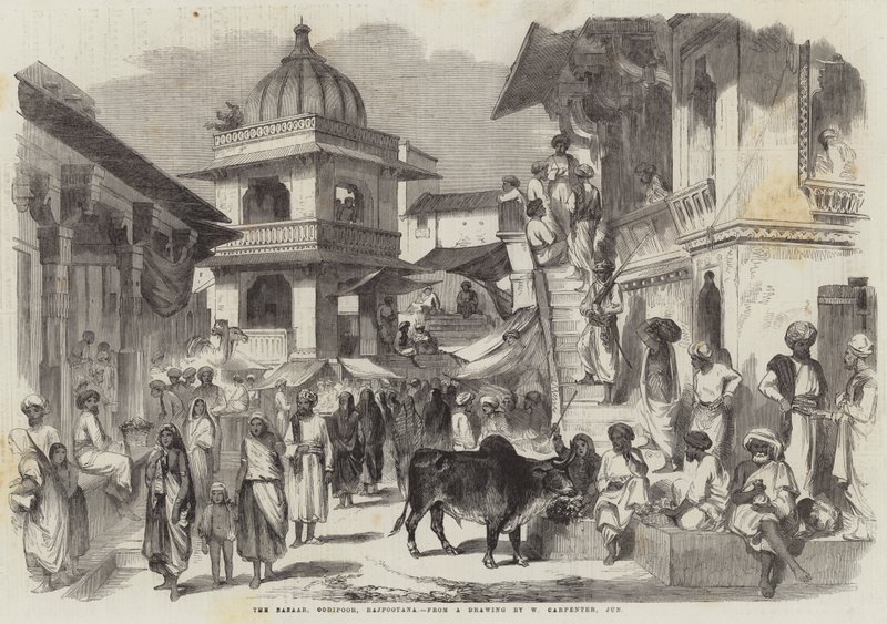 The Bazaar，Oodipoor，Rajpootana 作者 威廉·卡彭特