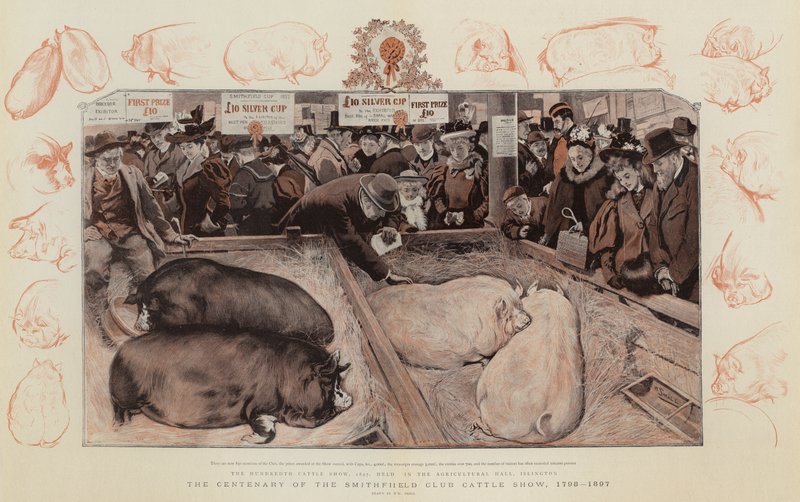 史密斯菲尔德俱乐部牛展的百年纪念，1798-1897 作者 威廉·斯莫特