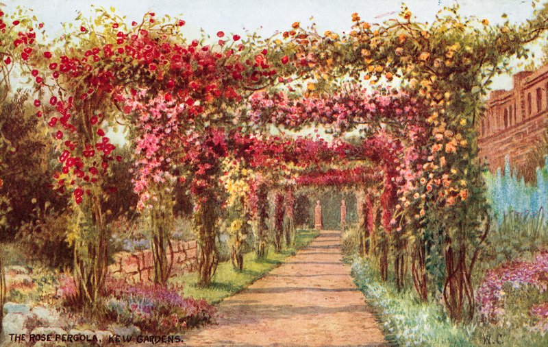 The Rose Pergola，Kew Gardens 作者 威廉·阿弗莱克·卡鲁瑟斯