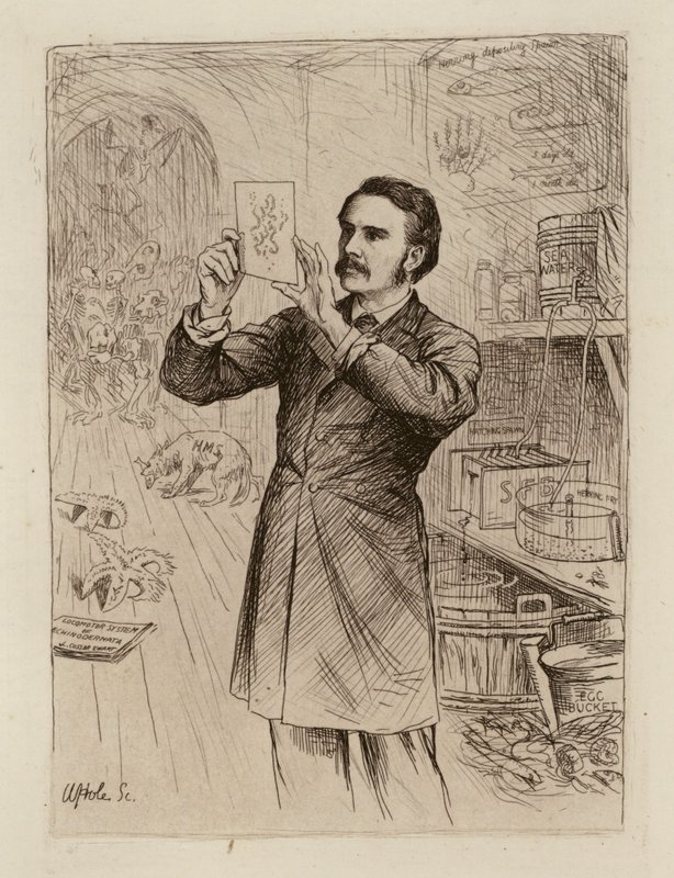 James Cossar Ewart，自然历史教授（雕刻） 作者 威廉·布拉西 (后) 霍尔