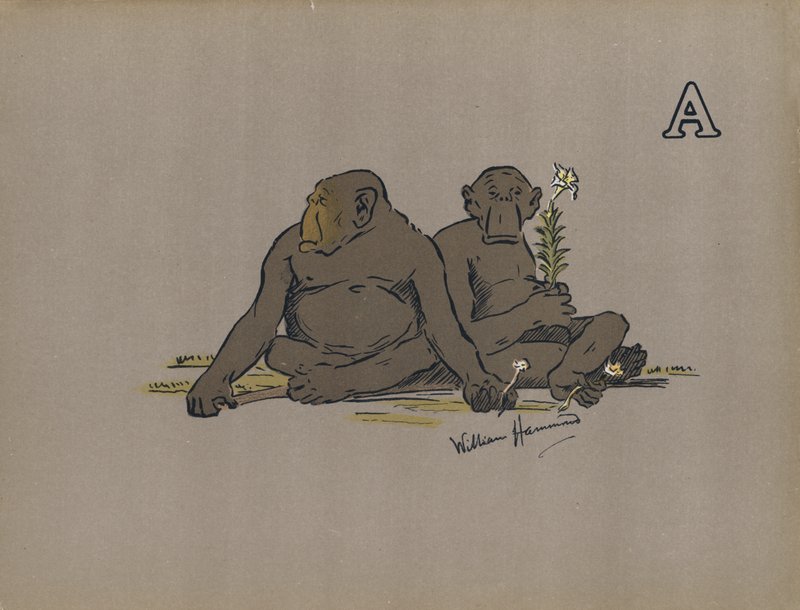字母 A，审美类人猿采取异常冷漠的态度（彩色石版画） 作者 威廉·哈蒙德