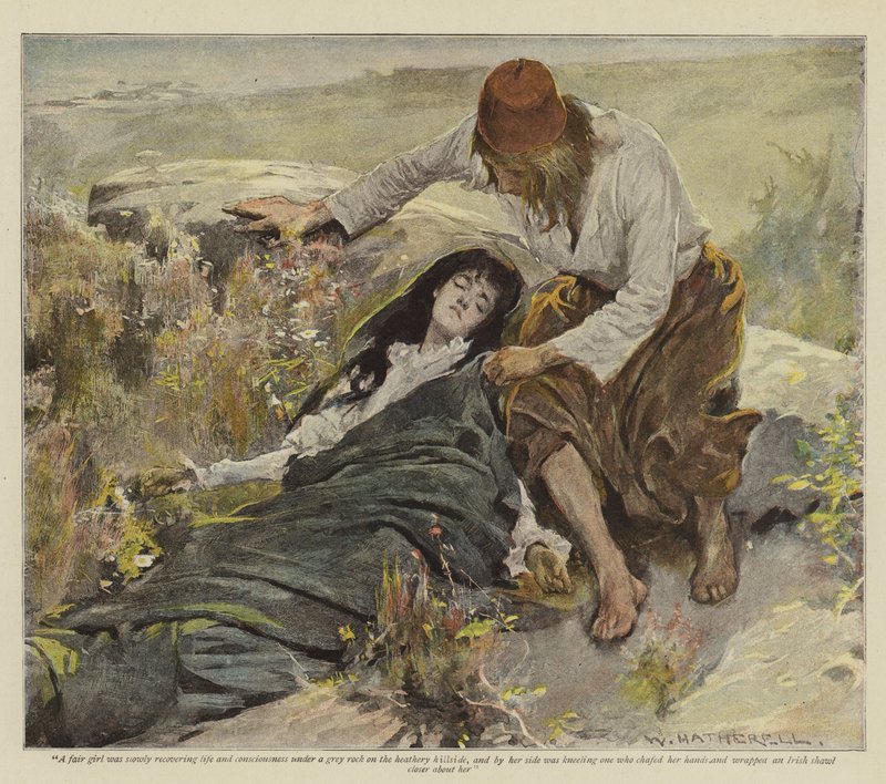 Dungarvan的复仇插图，由E Lester Arnold（chromolitho） 作者 威廉·哈瑟雷尔