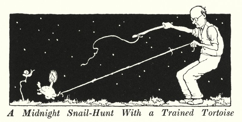 A Midnight Snail-Hunt With a Trained Tortoise (litho) 作者 威廉·希思·罗宾逊