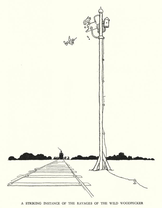 罗宾逊（W Heath Robinson）为《铁道兵》绘制的插图（平版）。 作者 威廉·希思·罗宾逊