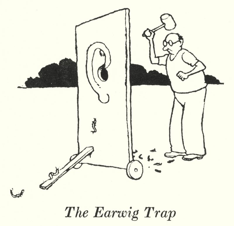 Earwig Trap（石版画） 作者 威廉·希思·罗宾逊
