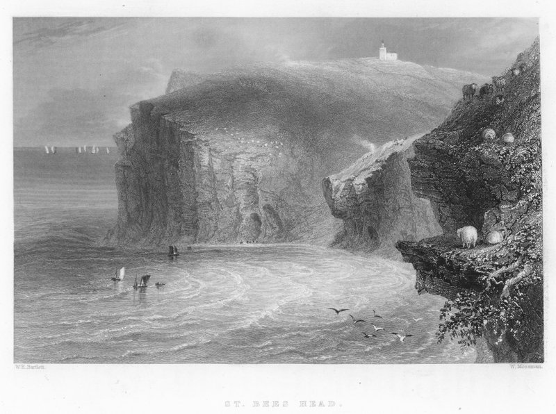 St Bees Head 作者 威廉·亨利·巴特利特