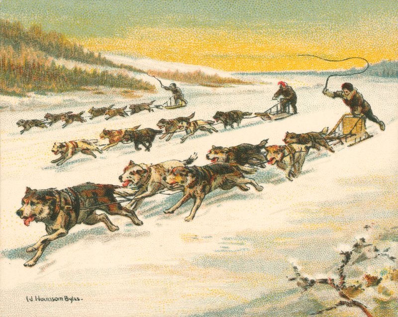 历史上和现代的比赛，加拿大犬只比赛（chromolitho）。 作者 威廉·洪索姆·拜尔斯
