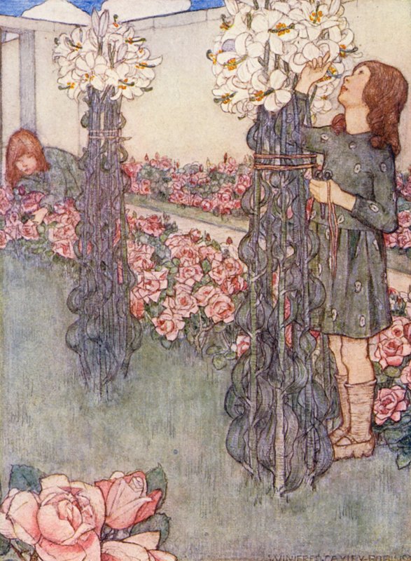 儿童园艺书：百合花和玫瑰花（彩色印刷版） 作者 温妮弗莱德·凯利·罗宾逊