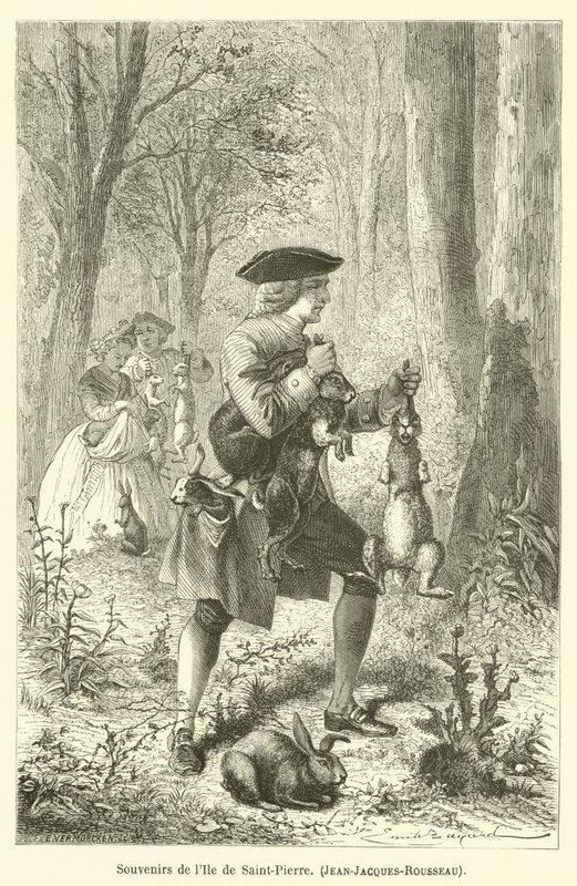 圣皮埃尔岛的纪念品，Jean-Jacques-Rousseau 作者 在埃米尔·安托万·贝亚德（Emile Antoine Bayard）之后