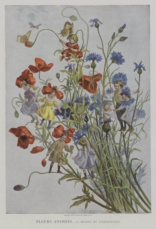 Fleurs Animees。 Bluets et Coquelicots。 （动画花：矢车菊和罂粟花） 作者 在Firmin Bouisset之后