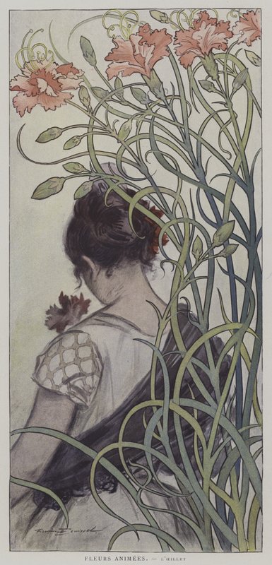 Fleurs Animees。 LOeillet。 （动画花：康乃馨） 作者 在Firmin Bouisset之后