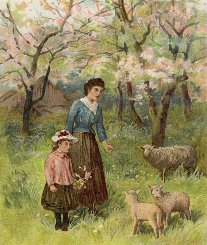 Apple Blossoms 作者 在威廉·亨利·詹姆斯·布特之后
