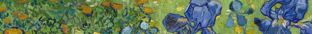 鸢尾花 (Vincent van Gogh)